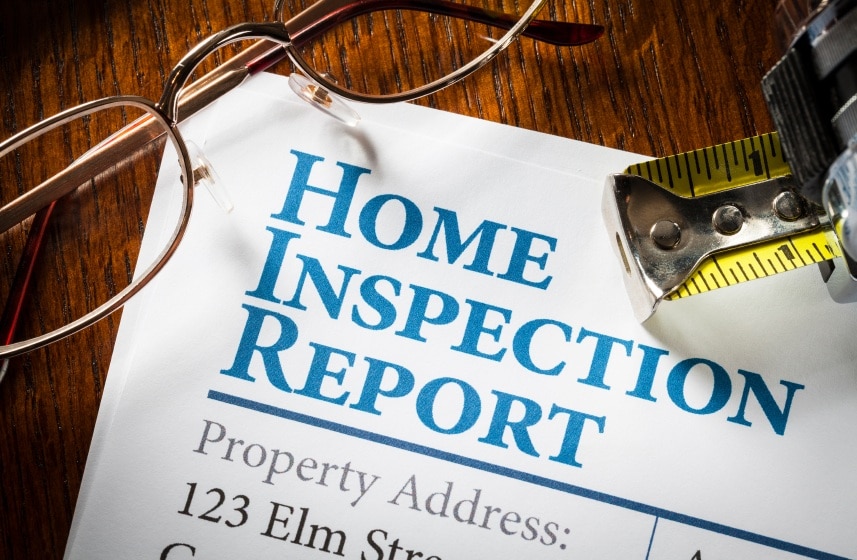 pest inspection report