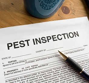 pest inspection